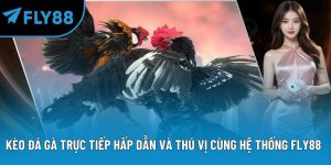 kèo đá gà trực tiếp